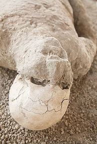 Image result for Pompeii Stone Bodies