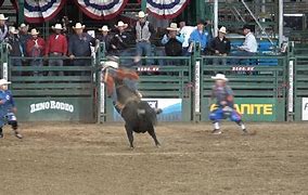 Image result for Day Sheet Reno Rodeo