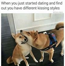 Image result for Boyfriend Dog Meme
