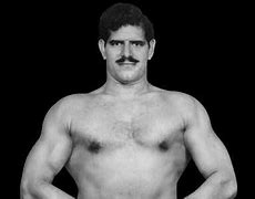 Image result for Dara Singh Wrestling