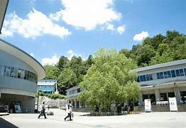 Image result for Kyoto Seika University Hoodie