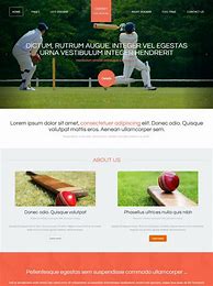 Image result for Cricket Photos for Template