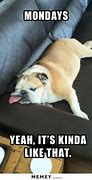 Image result for funny laziness sayings monday