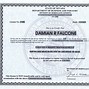Image result for Business License Template Free