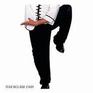 Image result for Black Kung Fu