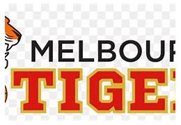 Image result for Melbourne United Logo