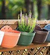 Image result for Live Plants Hanging Baskets