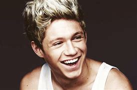 Image result for Niall Horan Background