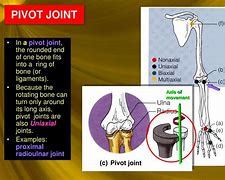 Image result for Pivot Joint Movement
