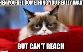 Image result for Grumpy Cat Memes Funny Thursday