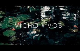 Image result for voquito