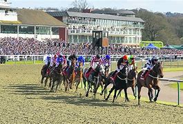 Image result for Lingfield Races