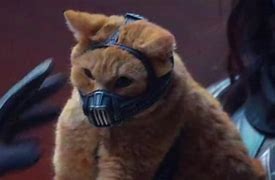 Image result for Cat with Mouth Open From the Marvel's