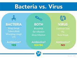 Image result for Antibiotics vs Bacteria