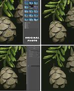 Image result for Filters in Photoshop