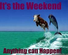Image result for Busy Saturday Memes Funny