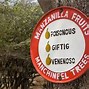 Image result for Manchineel Monkey