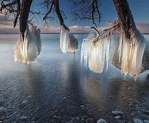 Image result for Amazing Ice Tree