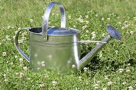 Image result for Watering Can Water Feature