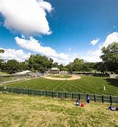 Image result for Little League World Series Field