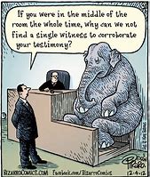 Image result for Elephant Joke Cartoons