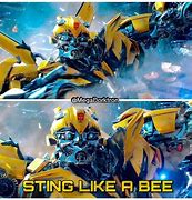 Image result for Bumblebee Meme Fall