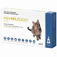 Image result for What Is Revolution for Cats