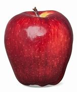 Image result for Yummy Apple