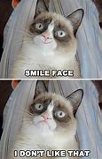 Image result for Grumpy Cat Smile