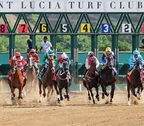 Image result for Horse Race Starting Gate
