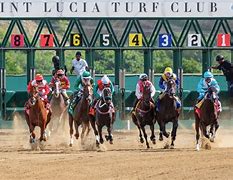 Image result for Horse Racing Coming Out of the Gate