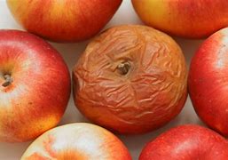 Image result for Bad Apple Fruit