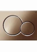 Image result for Single Flush Button