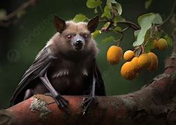 Image result for Bat Holding onto Branch