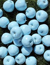 Image result for Blue Apple