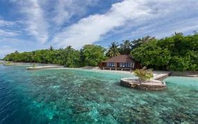 Image result for Lily Beach Maldives
