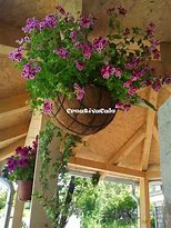 Image result for Silk Flower Hanging Baskets