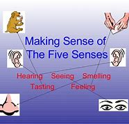 Image result for Five Senses Project