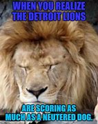 Image result for Sad Detroit Lion Meme