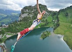 Image result for Bungee