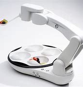 Image result for Assistive Eating Devices