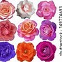 Image result for White Glitter Roses