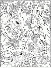 Image result for Animal Coloring Pages for Teenagers
