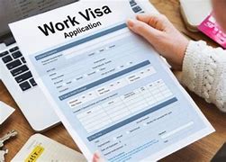 Image result for New Zealand Work Visa Ad