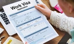 Image result for Newazland Work Visa Type