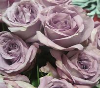 Image result for Aluminum Roses