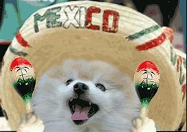 Image result for Mexican Memes Carlos