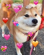 Image result for Dog Hearts Emoji Meme