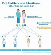 Image result for X-linked Disease