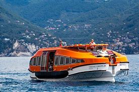 Image result for Cruise Ship Tender